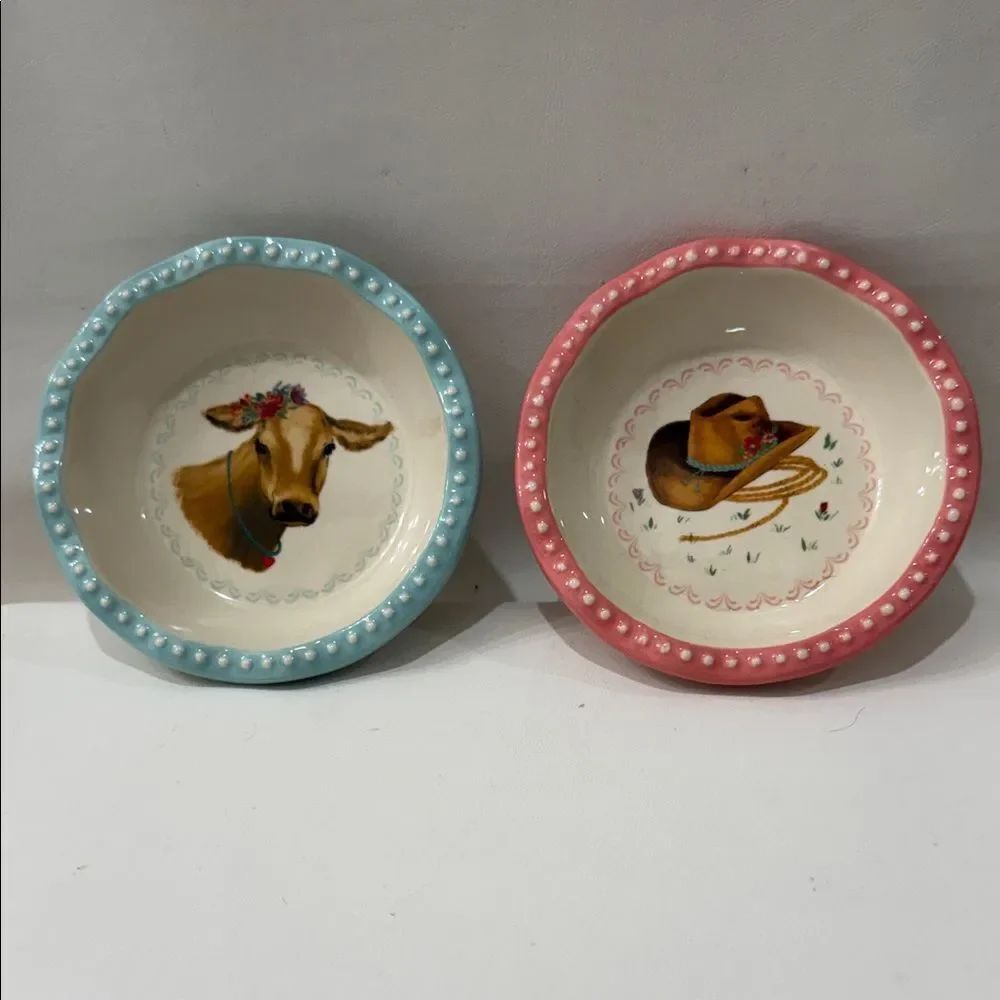 The Pioneer Woman Pastel Mini Pie 2 Dish Baking Set 4 3/4 In Round Pink Blue